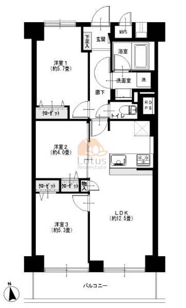 小島スカイハイツ803間取図