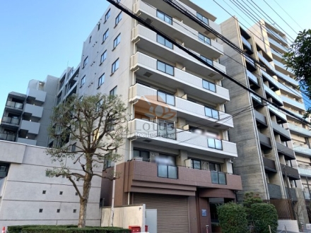 ユニーブル御殿山南の外観。8階建・総戸数26戸の中規模マンションで、アースカラーを基調としたタイル張りの落ち着いたデザイン。通り沿いに面しつつも、静かな住環境が魅力。ユニーブル御殿山南は、平成１４年築、８階建てのマンションです。