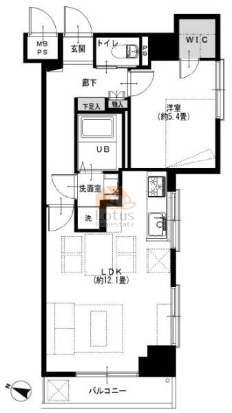 ダイアパレス御徒町第2502間取図