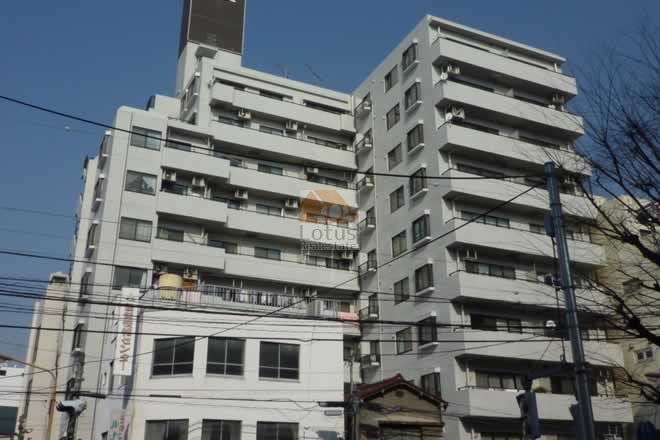 ライオンズマンション両国南外観｜ライオンズマンション両国南は、昭和63年築、10階建のマンションです。