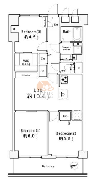 ニューパークハイツ808間取図