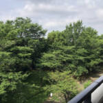 メディウス尾久の原公園
