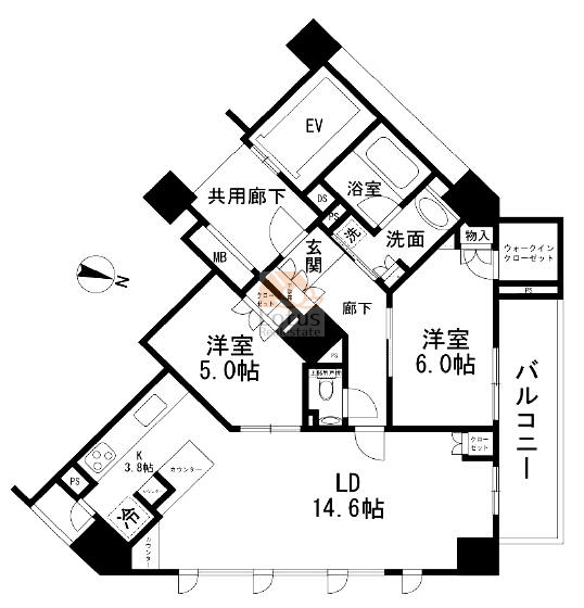 グランスイート文京音羽イースタージュ503間取図
