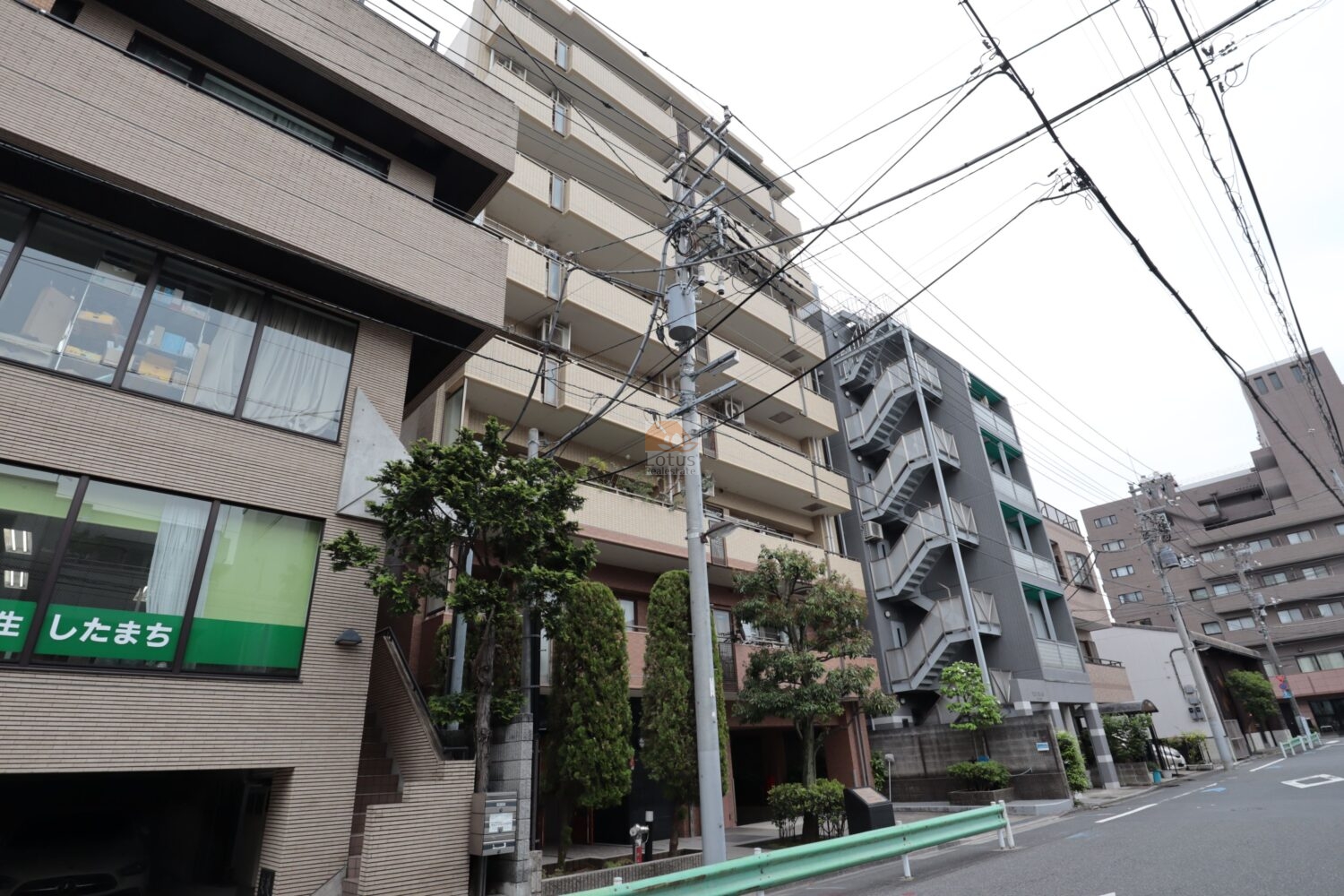 ドメイン木場公園の外観として、前面道路から見上げる構図です。タイル貼りの中層建物が連なり、電線や周辺建物との距離感から、下町らしい生活動線が想像しやすい場面。8階建て・総戸数22戸という規模感が、街並みに過度な圧迫を与えない点も落ち着きにつながっています。