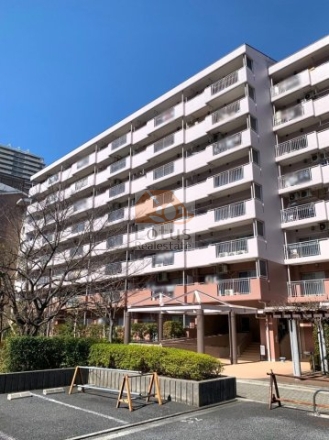 けやき通り南弐番館の外観（南東側より撮影）。地上8階建ての中層マンションで、端正なファサードが特徴。低木の植栽やエントランス前の舗装も整っており、整備の行き届いた安心感ある住環境がうかがえる。けやき通り南弐番館は、平成5年築、8階建てのマンションです。