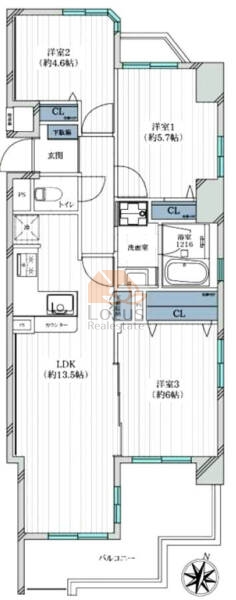 コスモ亀有サウスコート203間取（3LDK）