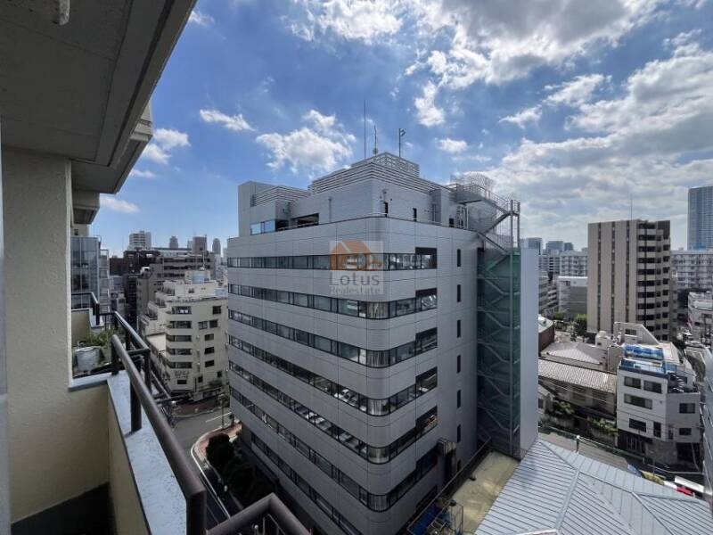 ライオンズマンション亀戸1002　眺望