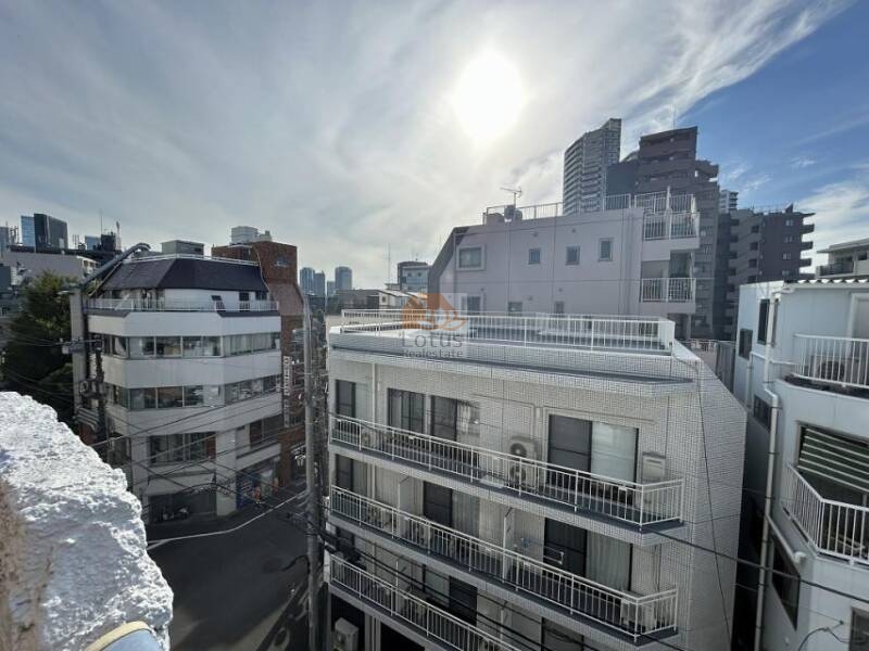マンションＶＩＰ柏木504の眺望