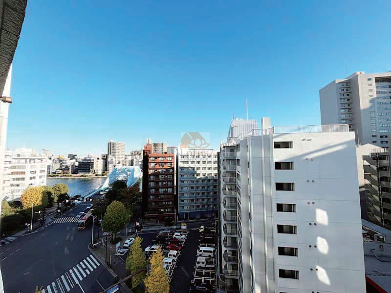 ライオンズマンション茅場町1001の眺望