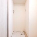 日神デュオステージ蔵前ＮＥＸＴ204日神デュオステージ蔵前ＮＥＸＴ204の洗面室