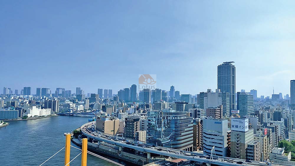 クレッセント東京ヴュータワー2206の眺望