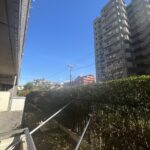 ライオンズガーデンシティ平井111ライオンズガーデンシティ平井111の眺望