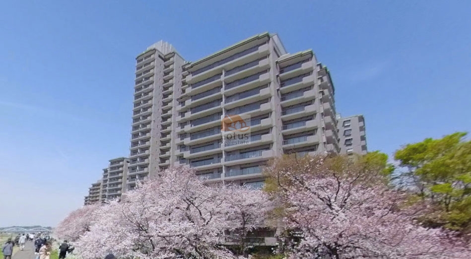 春の多摩川沿いに立つ建物は、桜並木と並行するように連なり、リバーサイドならではの広がりを見せていました。青空の下、住棟のバルコニーが並ぶ景観は、河畔の開放感と都市的な生活の双方を感じさせます。（四番館、参番館、弐番館）