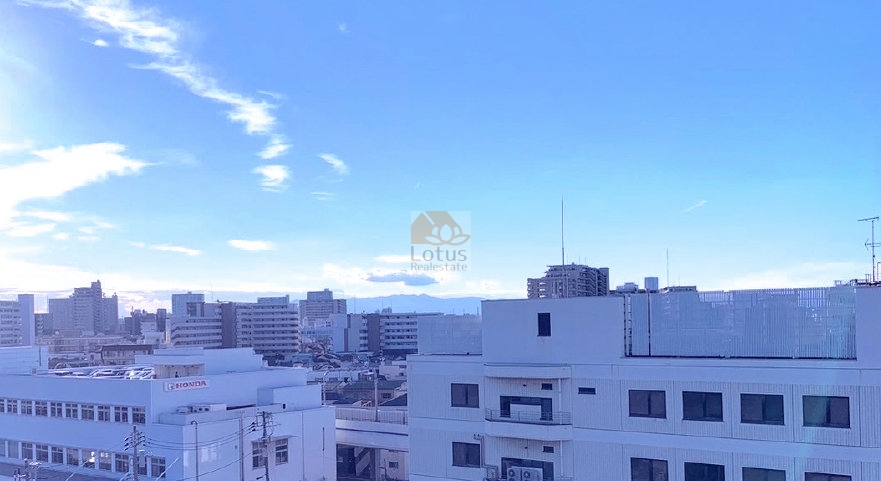 フェア・コート多摩川801の眺望