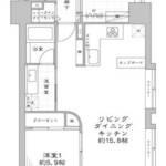 東京八重洲アムフラット801間取り