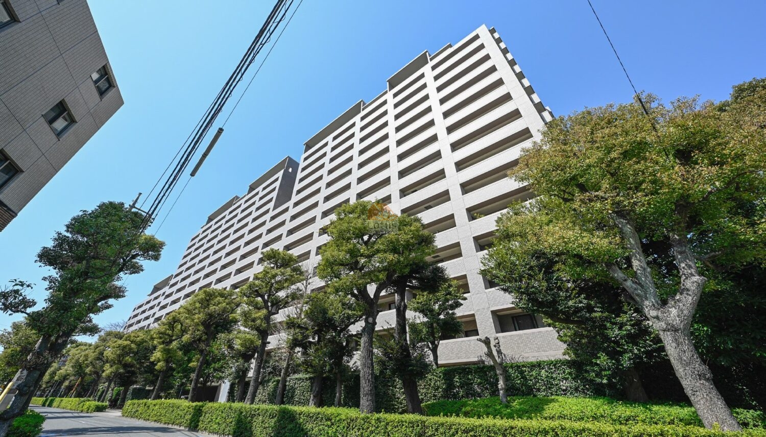 総戸数447戸・全3棟構成の一角をなす高層住棟です。縦に伸びる開口と整列バルコニーが続き、規模感が一目で伝わる外観です。