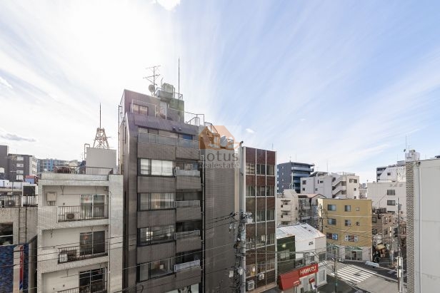 リビオ板橋駅前503の眺望