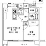 ライオンズマンション練馬702間取り