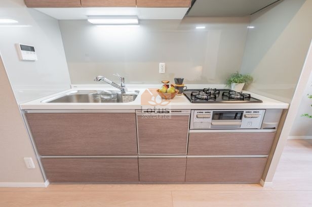 はなみずき通り北六番館305のキッチン