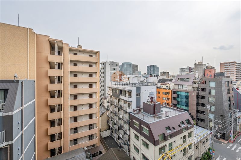 オープンレジデンシア錦糸町802の眺望
