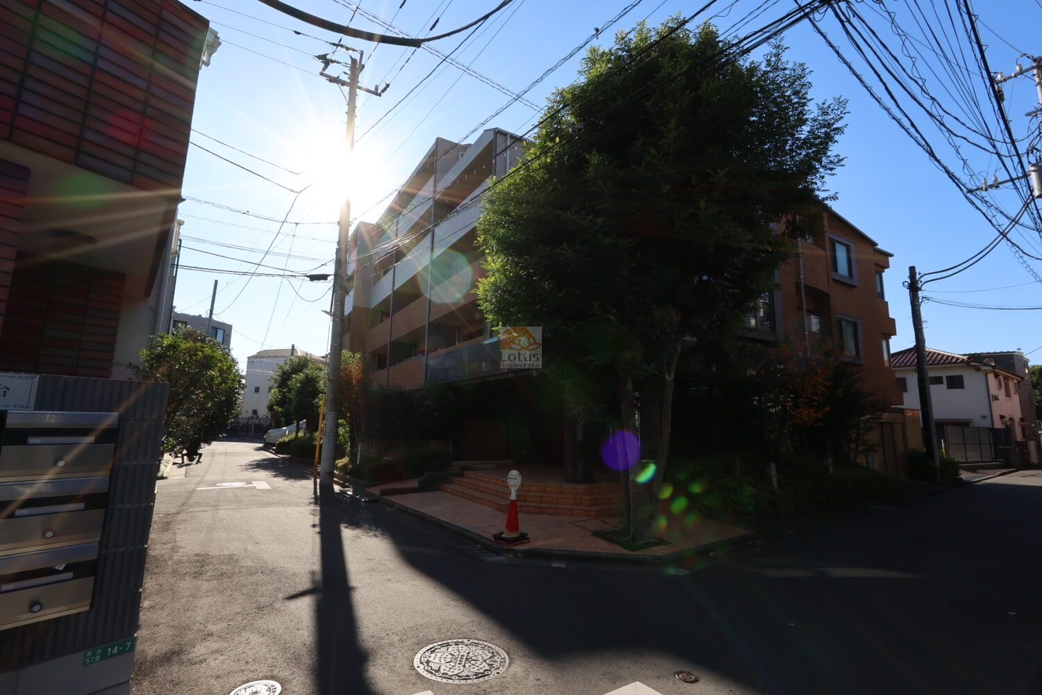 レクセルマンション笹塚は、植栽に囲まれた角地に位置しています。