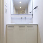 ベルハイム上石神井南206ベルハイム上石神井南206の洗面台