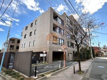 テラス杉並蚕糸の森は、平成9年築、6階建てのマンションです。タイル貼りの落ち着いたファサードと、街路樹のある歩道沿いに位置する低層中規模マンション。前面道路との距離が近く、利便性と穏やかさを両立した住環境。