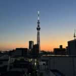 ライオンズマンション曳舟502ライオンズマンション曳舟502の眺望