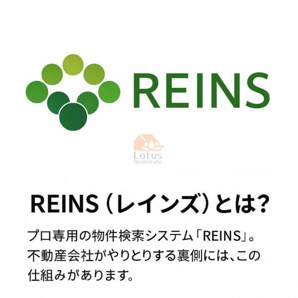 「不動産のプロが使う「REINS(レインズ)」とは?」のサムネイル