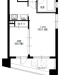 ダイナシティ練馬桜台703間取り