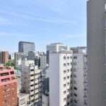 エクセレントシティ錦糸町1102エクセレントシティ錦糸町1102の眺望