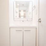 セザール上板橋503セザール上板橋503 の洗面室