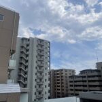 セザール船堀702セザール船堀702の眺望