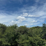 クレッセント駒沢公園パークサイド404クレッセント駒沢公園パークサイド404の眺望