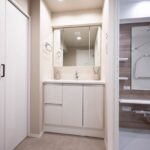 ダイアパレスグランデージ日本橋ダイアパレスグランデージ日本橋509の洗面室