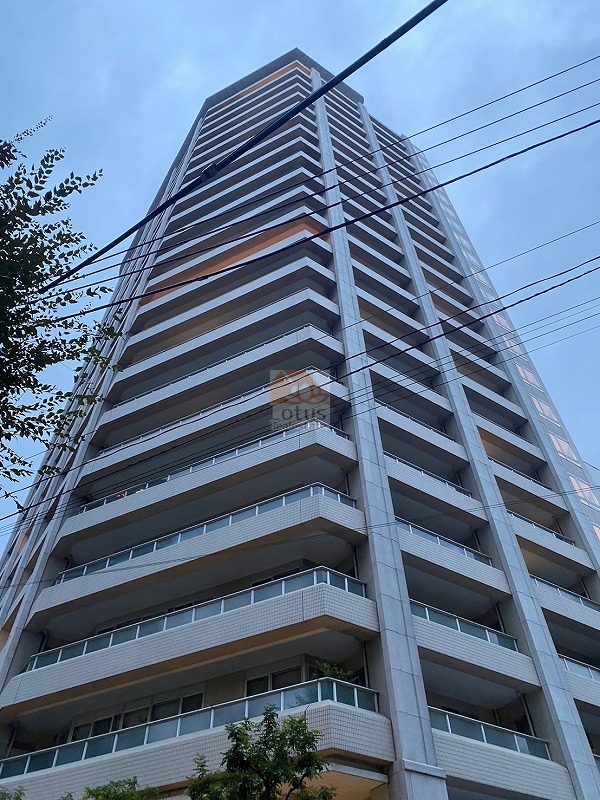 パークタワー東京フロントの上方へ伸びる高層棟を見上げます。前景には電線が交差し、外周には街路樹の枝葉が写っています。パークタワー東京フロントは、平成16年築、23階建てタワーマンションです。