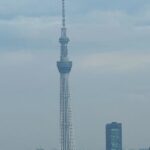 キャナルワーフタワーズ2506キャナルワーフタワーズイースト2506の眺望