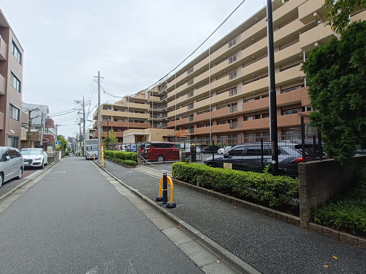 シャールレーク大井桜通りの前面道路は車通りが穏やかで、並木と低い生け垣が外構をやさしく縁取っています。敷地沿いに自走式の駐車スペースが並び、日常の車利用がしやすい印象です。