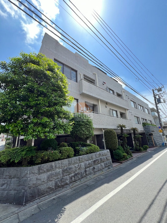 穏やかな街並みに溶け込む、落ち着いた外観です。低層のボリュームと前面の植栽がつくる奥行きが、通りからの距離感をやわらかく整え、歩行時に感じる風の抜けも心地よい印象。閑静な住宅街という立地特性を素直に表し、内廊下設計・ペット飼育可といった居住性の配慮が、日常の安心感へとつながる構えといえます。