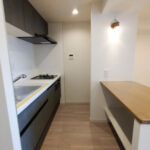 東急ドエルアルス根津1102東急ドエルアルス根津1102のキッチン