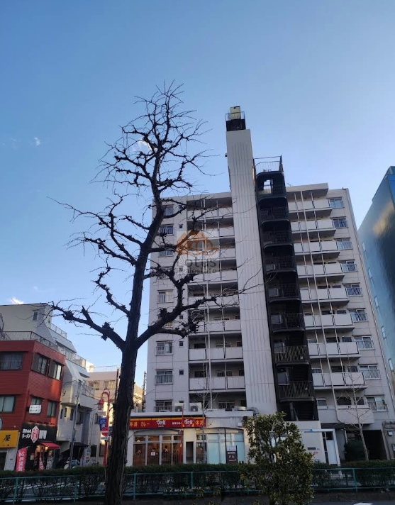 白を基調とした地上10階建てのスカイパーク多摩川を捉えた全景です。建物は整然としたバルコニーと窓の配置が特徴で、側面に設置された黒い螺旋状の非常階段が垂直のラインを際立たせています。1階部分には店舗が入居しており、利便性の高い立地であることがうかがえます。スカイパーク多摩川は、昭和57年築、10階建てのマンションです。