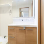 サンハイムフェニックス304サンハイムフェニックス亀有304の洗面室