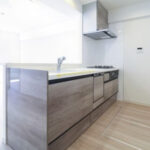 イトーピア豊島園パルテール101イトーピア豊島園パルテール101のキッチン