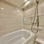 湯島ハイタウン1305湯島ハイタウンＡ棟1305の浴室