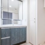 パレステージ墨田立花408パレステージ墨田立花408の洗面室