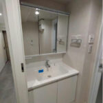 グランパーク深沢403グランパーク深沢403の洗面室