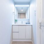 ダイアパレスグランデ西台114ダイアパレスグランデ西台114の洗面室