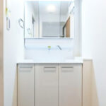 ナイスアーバン京島203ナイスアーバン京島203の洗面室