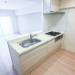 ナイスアーバン京島203ナイスアーバン京島203のキッチン