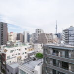 日神デュオステージ蔵前NEXT804日神デュオステージ蔵前NEXT804の眺望